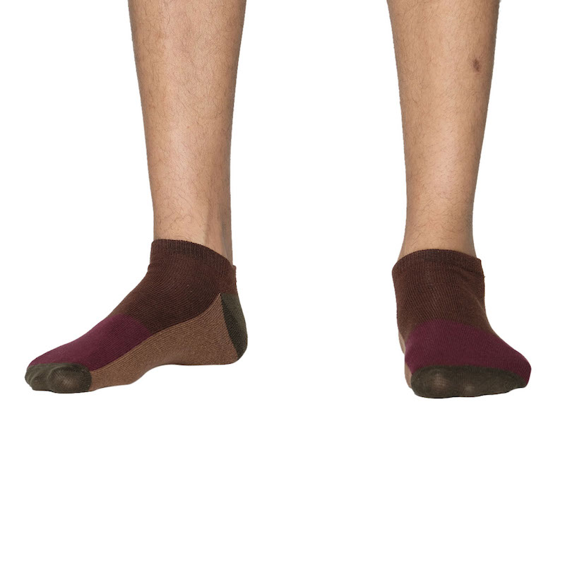 Picture of Premium Ankle Socks for Men  (Multi)