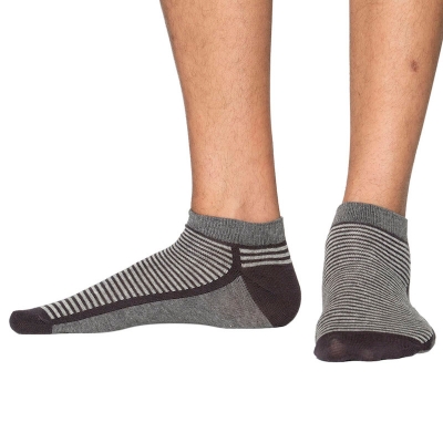 Picture of Premium Ankle Socks for Men  (Multi)