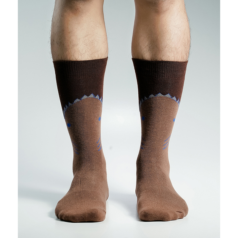 Picture of Swan Viara Long Socks For Men  (Brown)