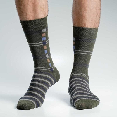 Picture of Swan Viara Long Socks For Men  (Olive)