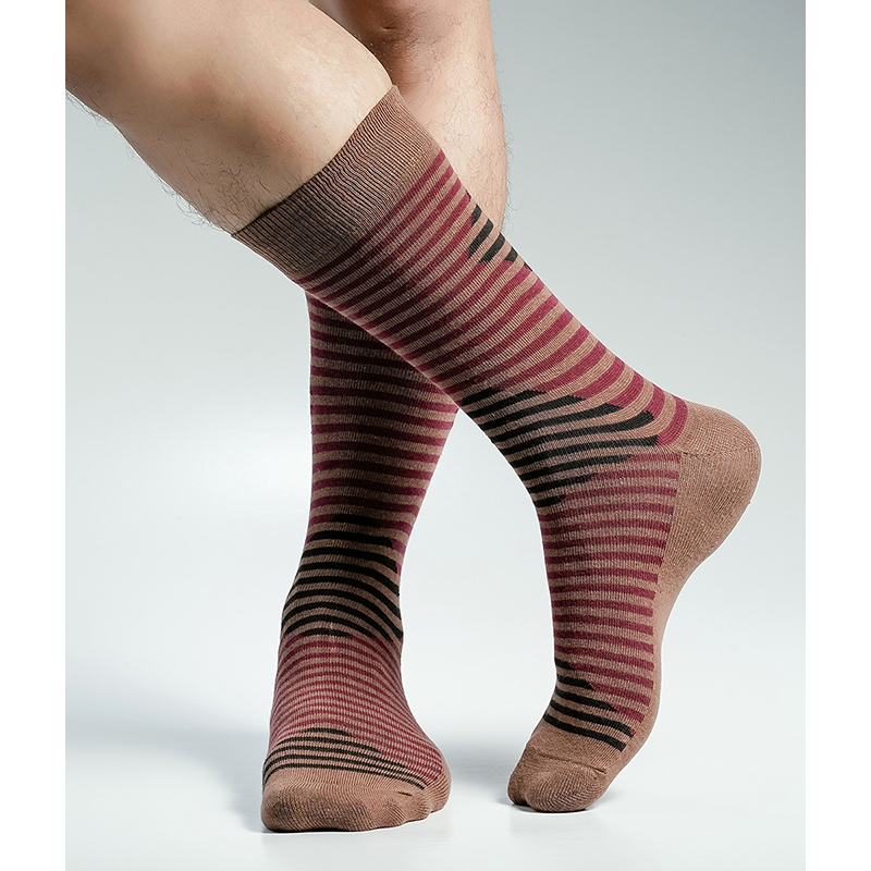 Picture of Swan Viara Long Socks For Men  (Brown)