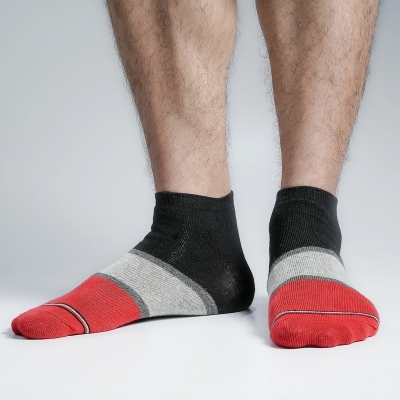 Picture of Premium Ankle Socks For Men  (Multi)