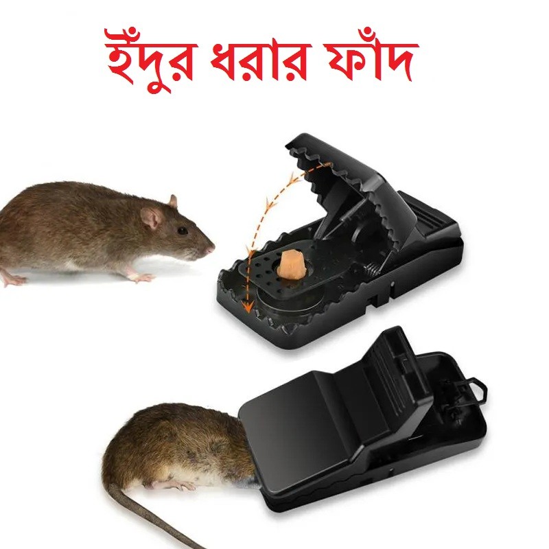 Picture of Mouse killer trap