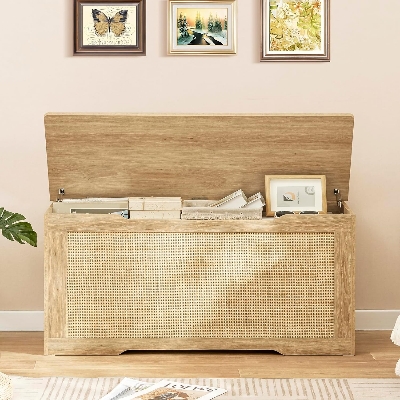 Picture of Foldable Storage Chest with Lid, Elegant Modern Style, Space-Saving Organizer for Living Room Bedroom Entryway, 20/40