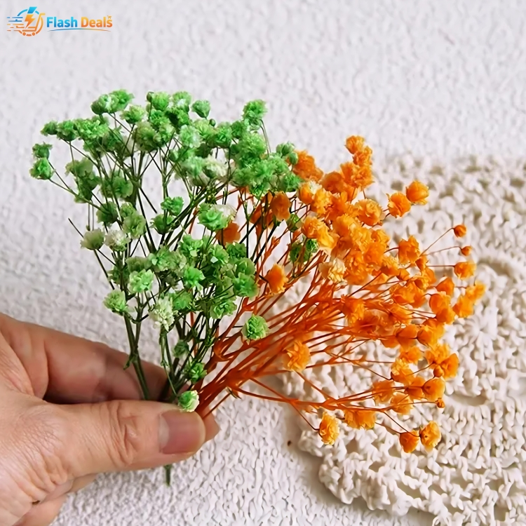 Picture of Sweet Journal 12g Babysbreath Dried Flowers Natural Floral DIY Crafts Scrapbooking Resin Art Journaling Decorative (Multicolor)