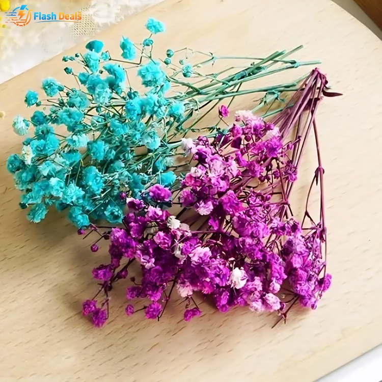 Picture of Sweet Journal 12g Babysbreath Dried Flowers Natural Floral DIY Crafts Scrapbooking Resin Art Journaling Decorative (Multicolor)