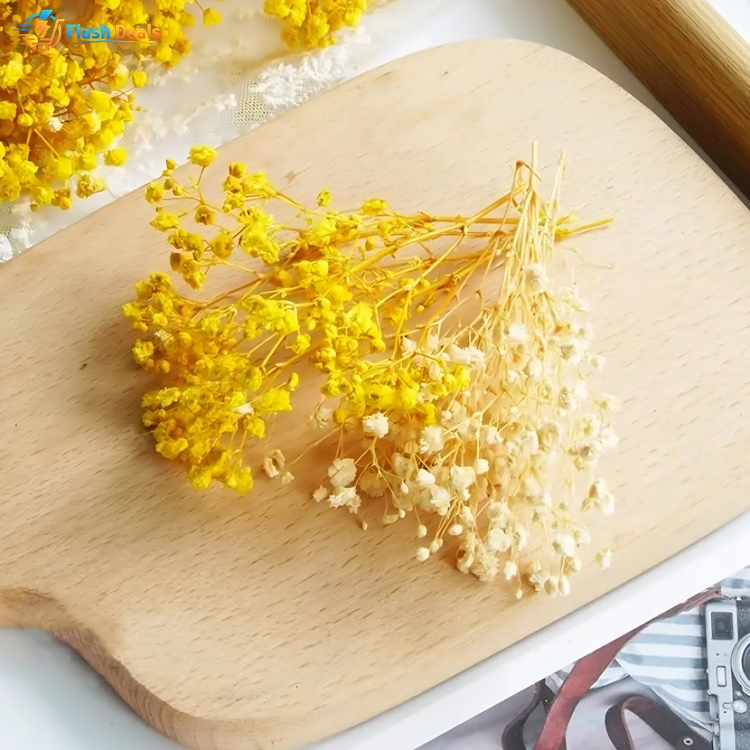 Picture of Sweet Journal 12g Babysbreath Dried Flowers Natural Floral DIY Crafts Scrapbooking Resin Art Journaling Decorative (Multicolor)