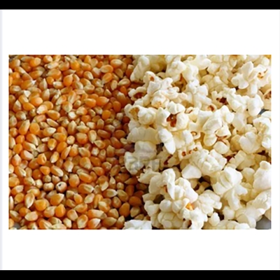 Picture of Pop Corn Bhutta-500gm