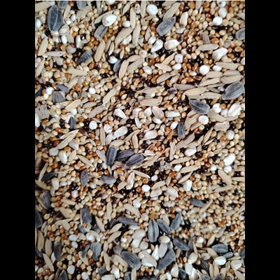 Picture of Bird Food Seed Mix for Cockatiel & Love Birds -- 1kg