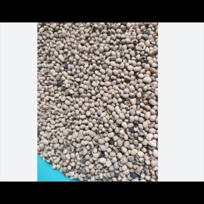 Picture of Soybean Seeds 1 Kg