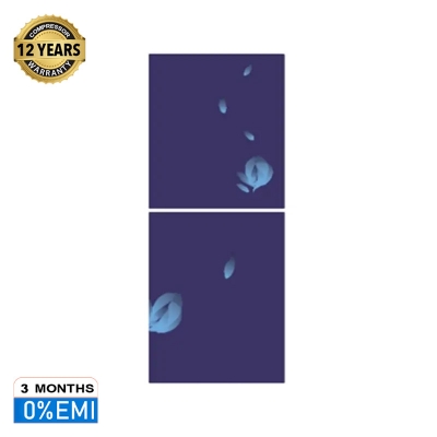 Picture of VISION GD Refrigerator Frost RE 238 L Blue Bottom Mount 