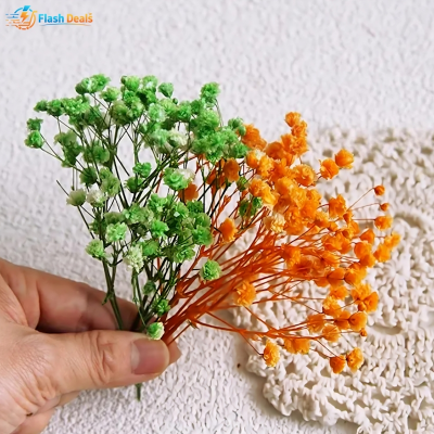 Picture of Sweet Journal 12g Babysbreath Dried Flowers Natural Floral DIY Crafts Scrapbooking Resin Art Journaling Decorative (Multicolor)