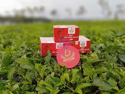 Picture of Duly Pomegranate Body Whitening Cream - 300gm ,1pcs