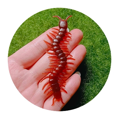 Picture of 10 Pcs  Simulated Centipede Children Small Horrorible Plastic Toys Kids DIY 3D Black April Fool Day(Multicolor)