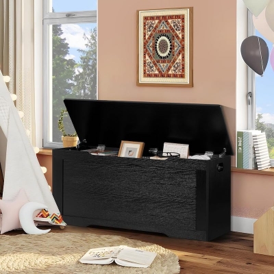 Picture of Foldable Storage Chest with Lid, Elegant Modern Style, Space-Saving Organizer for Living Room Bedroom Entryway, 20/40