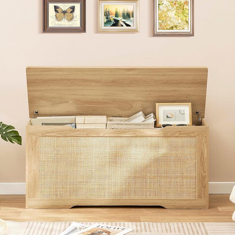 Picture of Foldable Storage Chest with Lid, Elegant Modern Style, Space-Saving Organizer for Living Room Bedroom Entryway, 20/40