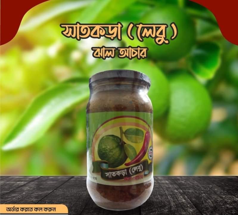 Picture of Satkorar Acher 400 gm Modern Herbal