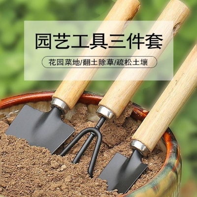 Picture of 3Pcs Set Gardening Tools Raise Flowers Rake Planting Vegetables Flowers Succulent Small Shovel Tool Shovel Potting Supplies
