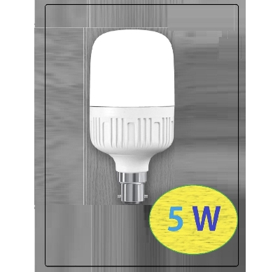 Picture of 5W LED Energy Saving LIGHT (AC) outdoor light or Inside Light for washroom or kitchen - White