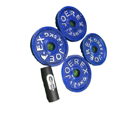 Picture of 5 Kg Dumbbell Combo (1.25kg x 4 Piece Dumbbell Plate + 1 Piece 10 inch Stick) - Blue - Sports Alpha Blue