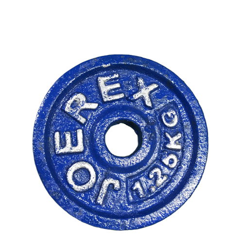 Picture of 5 Kg Dumbbell Combo (1.25kg x 4 Piece Dumbbell Plate + 1 Piece 10 inch Stick) - Blue - Sports Alpha Blue