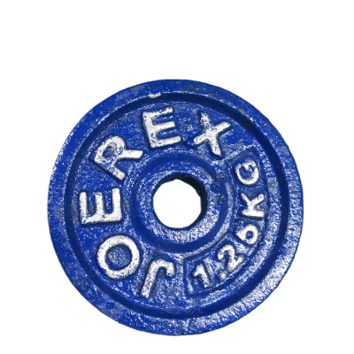 Picture of 5 Kg Dumbbell Combo (1.25kg x 4 Piece Dumbbell Plate + 1 Piece 10 inch Stick) - Blue - Sports Alpha Blue