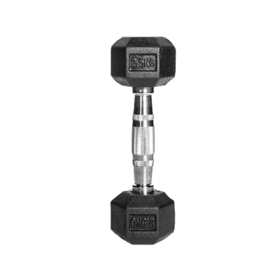 Picture of Hex Dumbbell - 2.5kg Dumbbell(1 Pair) - Black - Sports Alpha Black