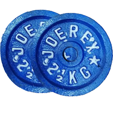Picture of Dumbbell Plate 2.5Kg - Blue - 2Pcs - Sports Alpha Blue
