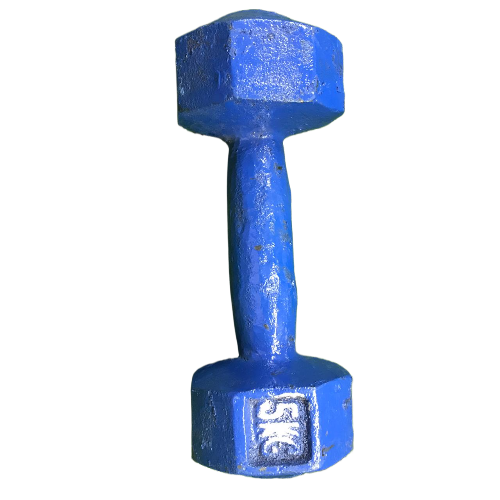 Picture of 5KG Blue Dumbbell - 1Pcs - Blue - Sports Alpha Blue