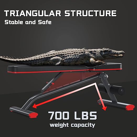 Picture of Adjustable Weight Bench | Brand – Mdikawe | Foldable Fitness & Workout Bench for Full Body Training | Sports Alpha Black