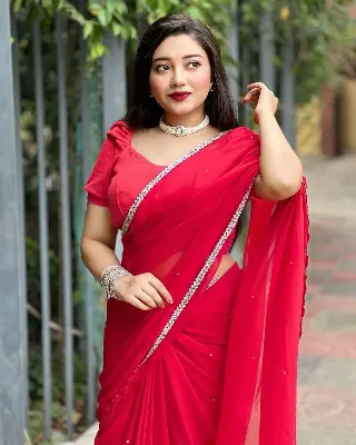 Picture of Main materials georgate stone saree