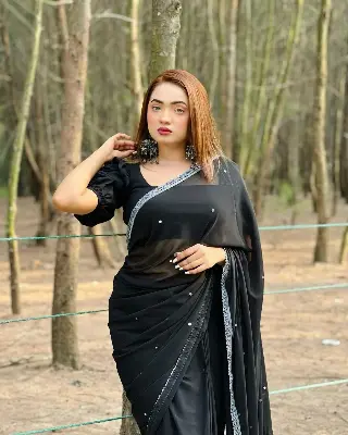 Picture of Main materials georgate stone saree