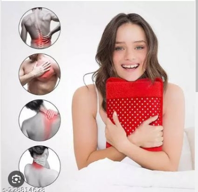 Picture of Electric Hot Water Bag / Heat Pillow and Pain Remover - hot water bag
