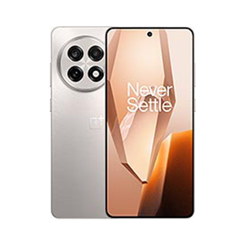 Picture of OnePlus 13R(12/256GB)