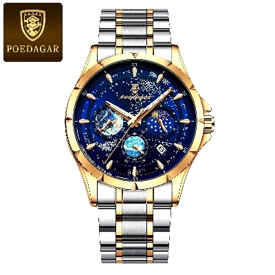 Picture of POEDAGAR 916 Luxury Man Wristwatch Luminous