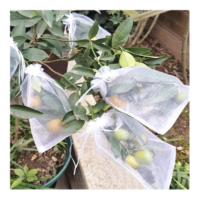 Picture of 10 Pcs Fruit Protection Bags to Cover Fruit Nylon Protective Basket Mesh Cover()