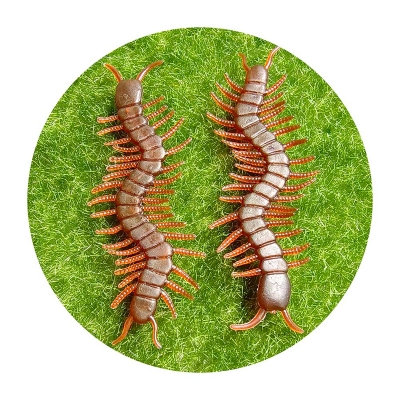 Picture of 10 Pcs  Simulated Centipede Children Small Horrorible Plastic Toys Kids DIY 3D Black April Fool Day(Multicolor)
