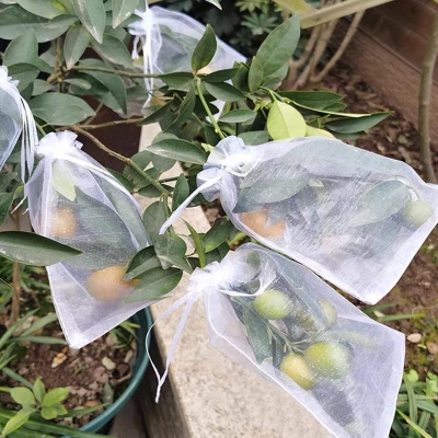 Picture of 10 Pcs Fruit Protection Bags to Cover Fruit Nylon Protective Basket Mesh Cover()