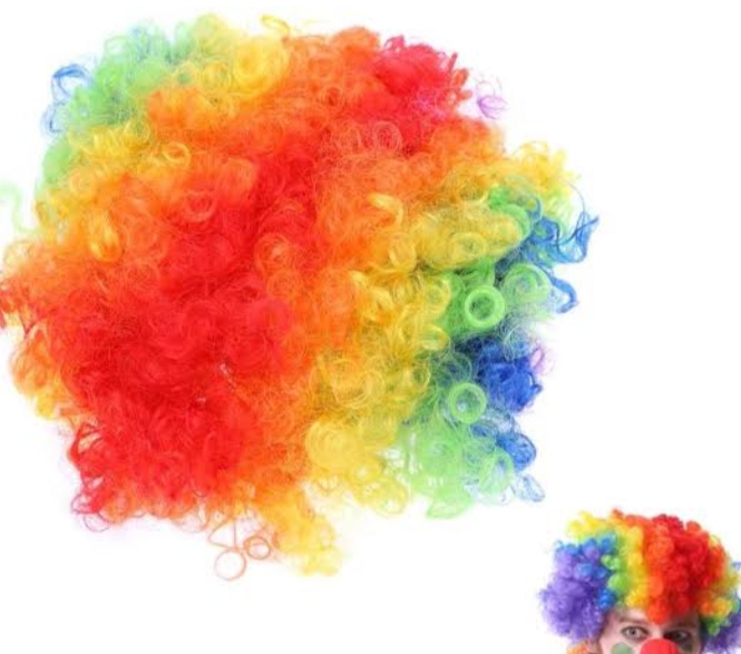 Picture of Adult Multi Coloured Rainbow Circus Curly Afro Clown Wig Halloween Fancy Dress