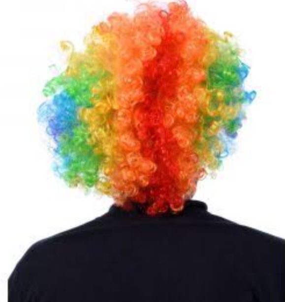 Picture of Adult Multi Coloured Rainbow Circus Curly Afro Clown Wig Halloween Fancy Dress