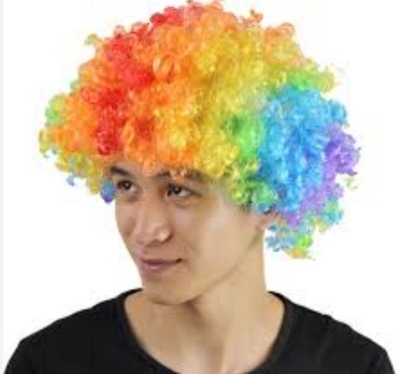 Picture of Adult Multi Coloured Rainbow Circus Curly Afro Clown Wig Halloween Fancy Dress