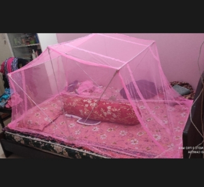 Picture of Portable Single-Fold Adult Mosquito net free carry bag