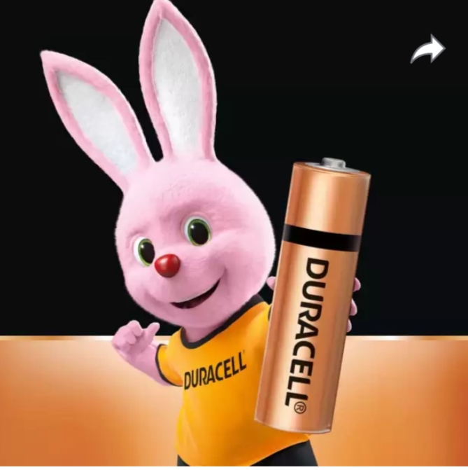 Picture of Duracell Original 1.5 AA 2 Pack Alkaline Long Lasting Battery - Black