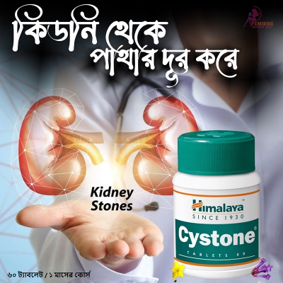 Picture of Hiamlaya Cystone kedny healthness 60 tablet