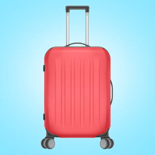 Picture for category Luggage
