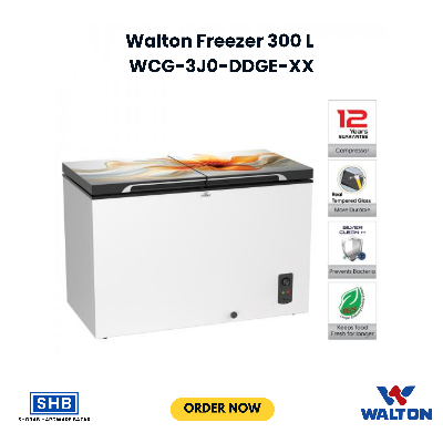 Picture of Walton Freezer 300 L WCG-3J0-DDGE-XX 