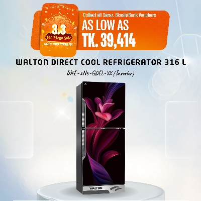 Picture of Walton Direct Cool Refrigerator 316 L WFE-2N5-GDEL-XX (Inverter) 