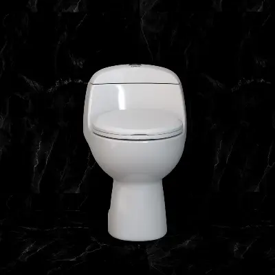 Picture of Stella ROMA Premium One Piece Commode (Ivory)