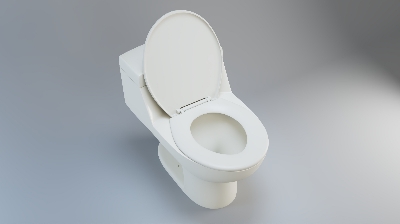 Picture of Perla Water Closet/High Commode Rainbow (White)