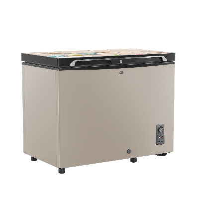 Picture of WALTON Freezer 255 L WCG-2E5-GDLC-XX with Free Delivery 